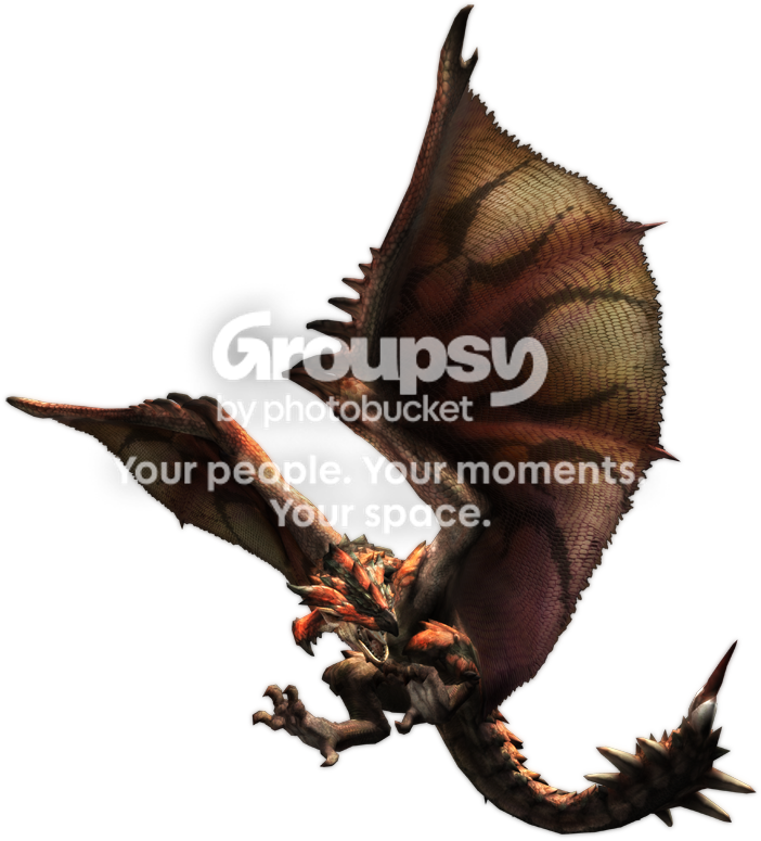 User Image
